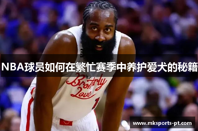 NBA球员如何在繁忙赛季中养护爱犬的秘籍